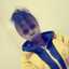 Nduta Nelly