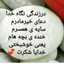 hamide mohamadi