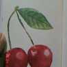 Redcherry Redcherry