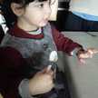 Analia Monica Arcure