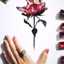 Rana Hamed