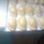 Elechi Gladys