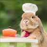 Cooking Rabbit