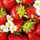 Anna_Kitchen