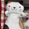 BigMeow