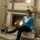Maria Litsiou Giouloglou Maria Litsiou Giouloglou