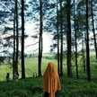 Ananda arafah