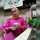 Neng_Endah6789 Neng_Endah6789