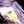 fetty sf