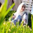 massa Shammout 