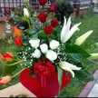 Abo Alsafa