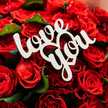 Nina, benty Bendjeloule