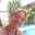 claudia