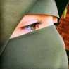 Sabrina Fame 18