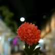 شيف نانا