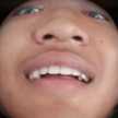 Cicak Tegal