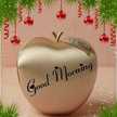 Thoufeera Basheer