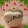 Thoufeera Basheer