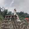 Hoài Thu Hoài Thu