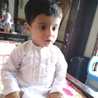 M Fareed