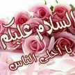 شيف تركيا