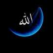 Fanji Far