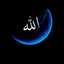 Fanji Far