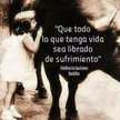 Yor yor