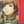 Shepard Shepard