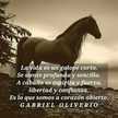 Andrea