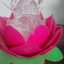 Shreya Garg
