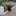 Hoilda Ramona Laffitte Hoilda Ramona Laffitte