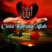 Winda