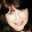 Rebecca Fay Fulmer