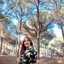Melody