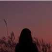Maram Amer