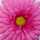 jast_hager jast_hager