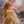 sandylin