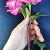 Elhamri Elbatoul Elhamri Elbatoul