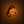 nexthaly 