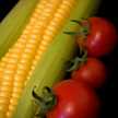 tomatoes