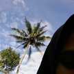 NICKYTA INTAN P
