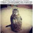 florenci