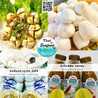 Thai Seafood Mart