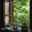 setare setare