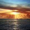 tracey.carteret.7