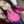 Emily Rivero