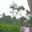 Ratinee Ratinee