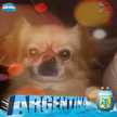 Cha Nima