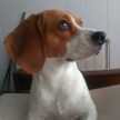 Yaiza 